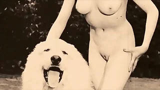 299 retro porn videos